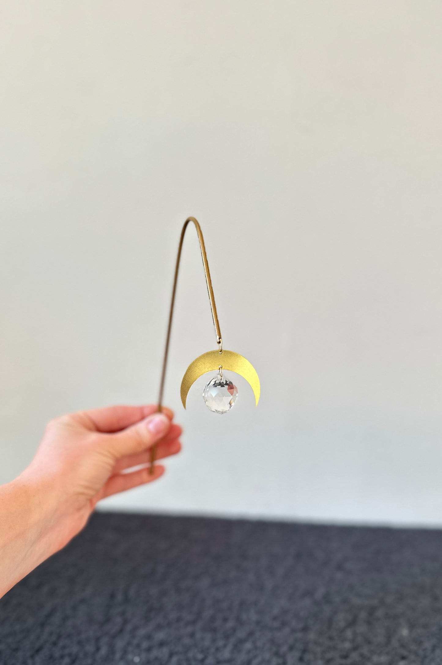 moon plant suncatcher