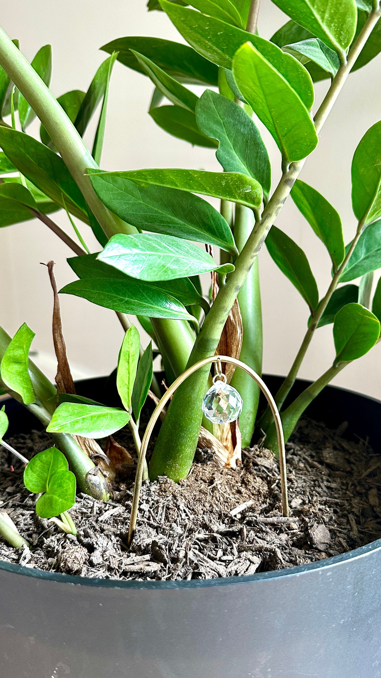 arch plant stake suncatcher